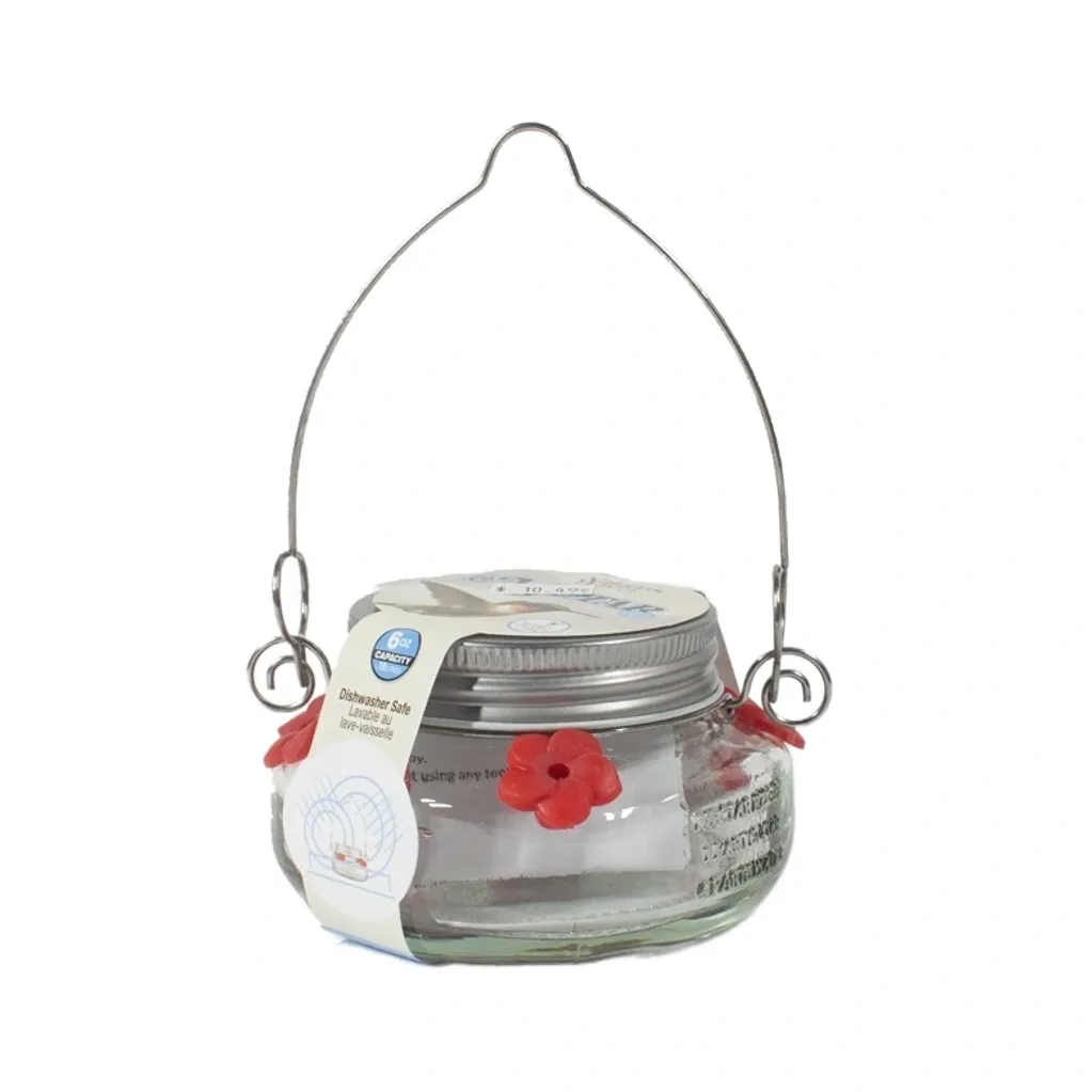 Glass lantern with metal handle and red floral design.