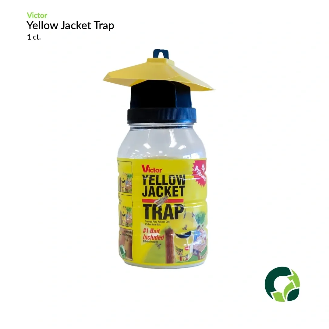 Yellow Jacket Trap with a yellow top and a bottle base for catching yellow jackets.