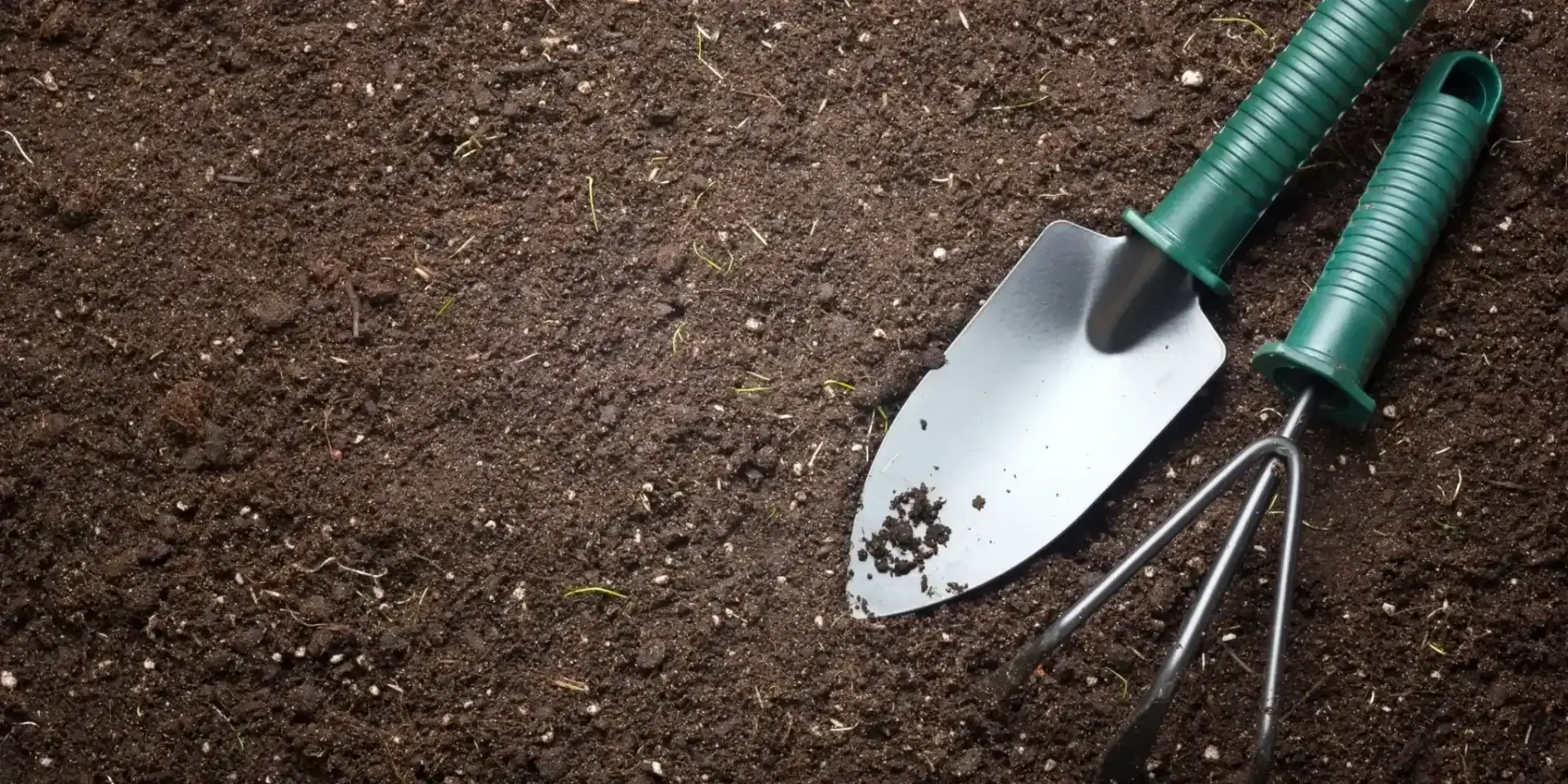 Garden trowel and rake on dark soil