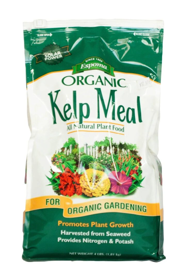Organic kelp meal for natural plant nutrition and growth.