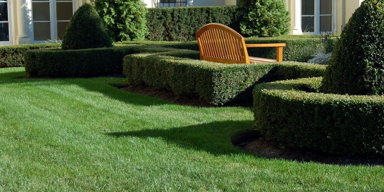 Neatly trimmed hedge with a wicker chair and table on top.