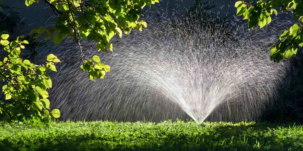 A sprinkler watering a green lawn under a tree branch.