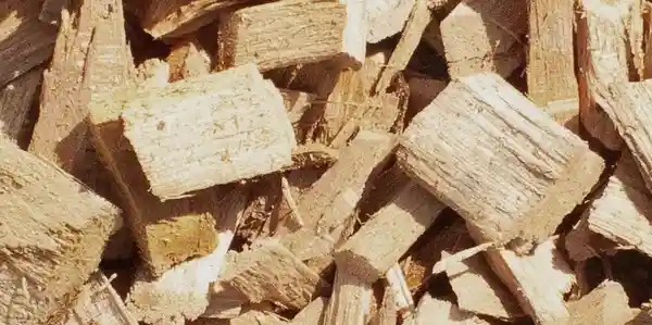 Close-up of wood chips and sawdust.