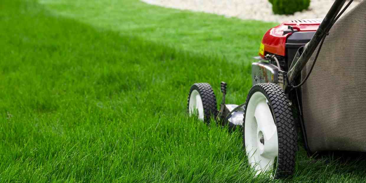 Close-up of a lawn mower cutting lush green grass outdoors.