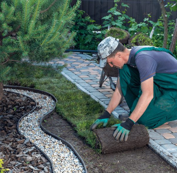 Gardener laying stone tiles on a garden path near greenery.