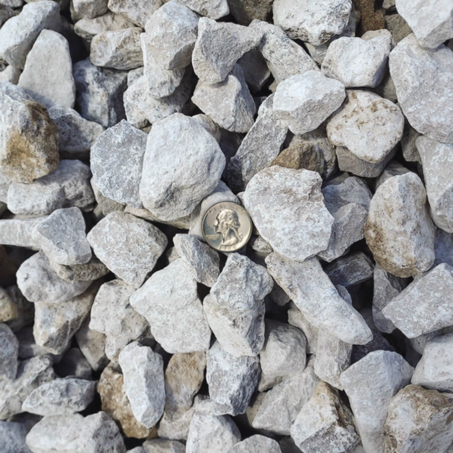 Coin among scattered gray rocks.
