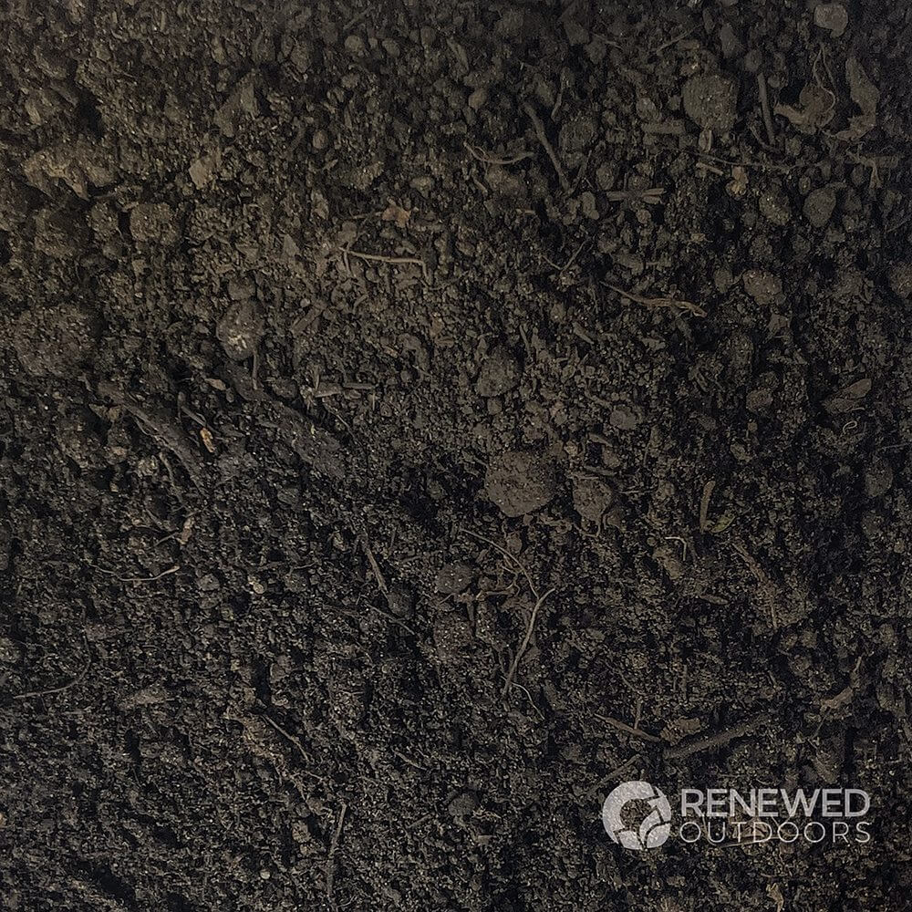 Dark soil texture with small rocks visible.