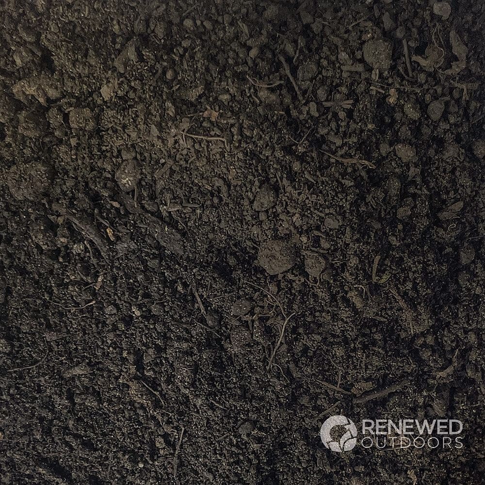 Dark soil texture with small rocks visible.