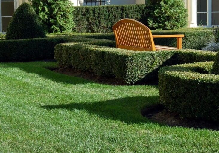 Neatly trimmed hedge with a wicker chair and table on top.