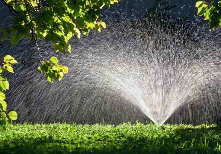 A sprinkler watering a green lawn under a tree branch.