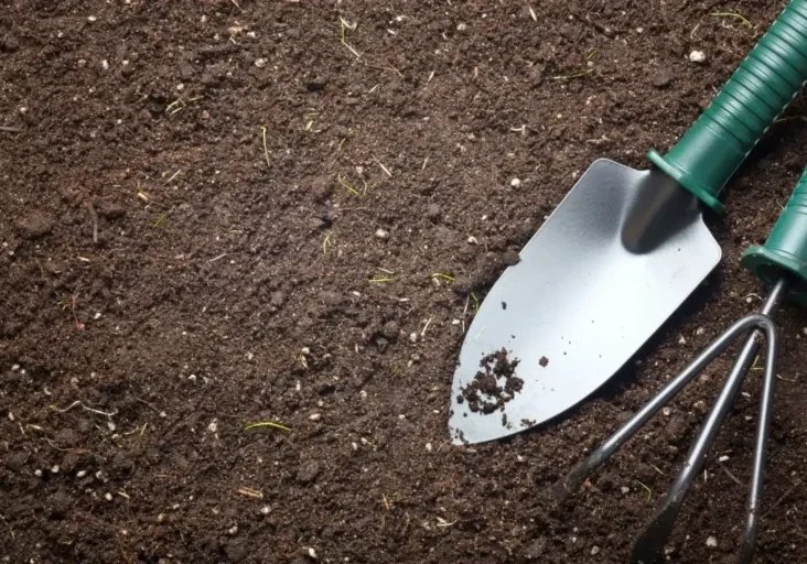 Garden trowel and rake on dark soil