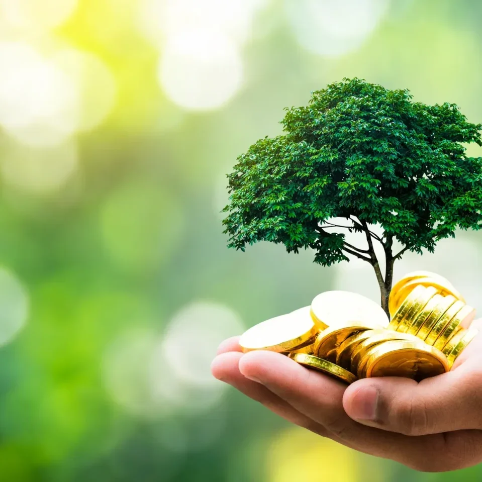 A hand holding a tree growing from gold coins, symbolizing financial growth.